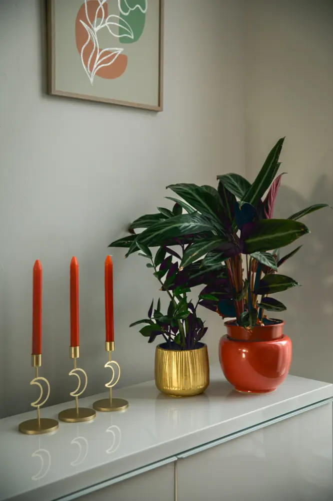 interieurstylist zwolle AKF-zakelijk-25-1